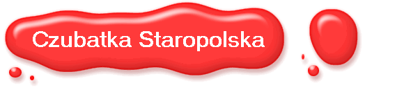 Czubatka Staropolska