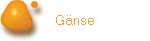 Gnse