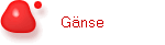 Gnse